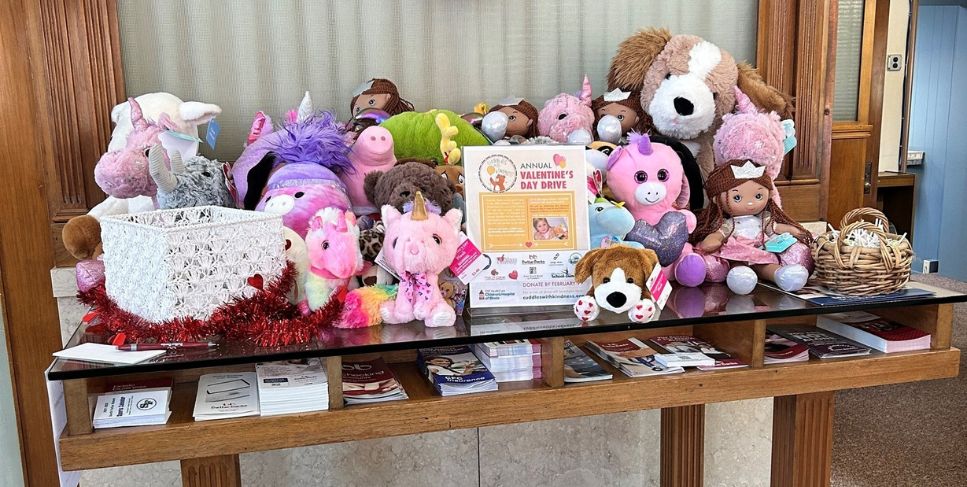 Teddy Bear Drive in Astoria