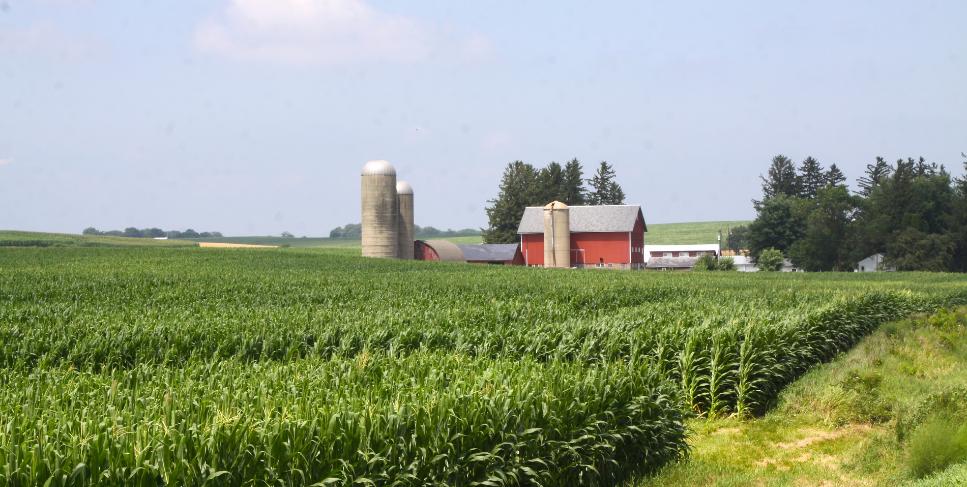 FSA Commercial loans from Better Banks